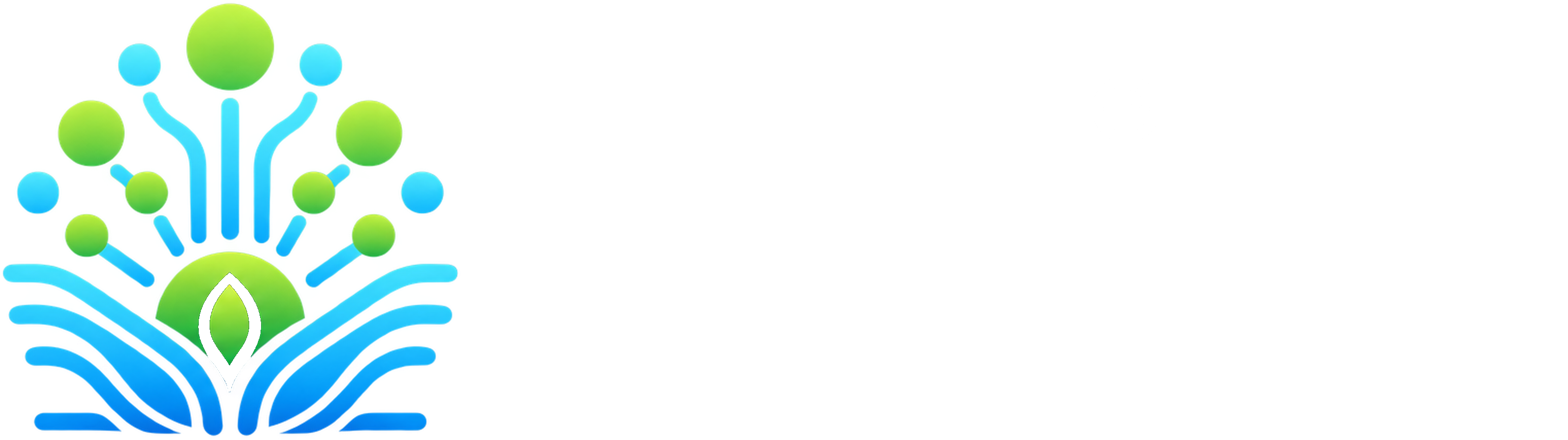 朗思孚能源